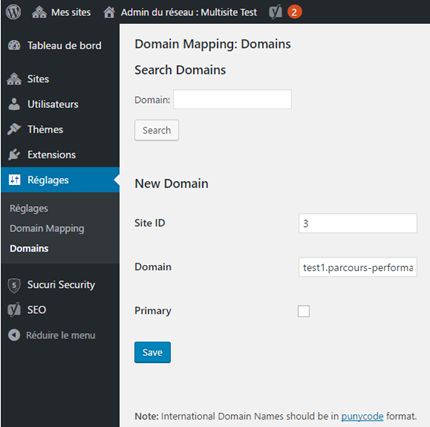 WordPress multisite : map a domain