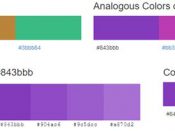 Palette de couleur associée au Violet #843bbb selon Color-Hex