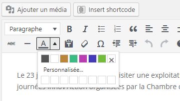 L'éditeur WordPress : des couleurs de texte personnalisées V1