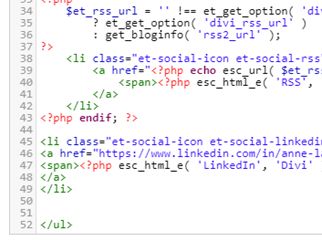 Code PHP pour créer une nouvelle icone de réseaux sociaux dans Divi