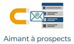 lead magnet, aimant à prospects